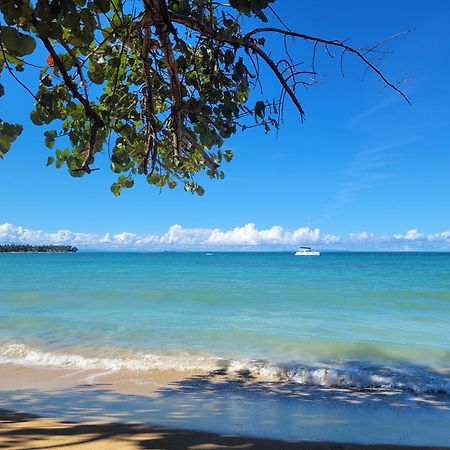 Las Terrenas, La Fenice, Playa Popy Bagian luar foto